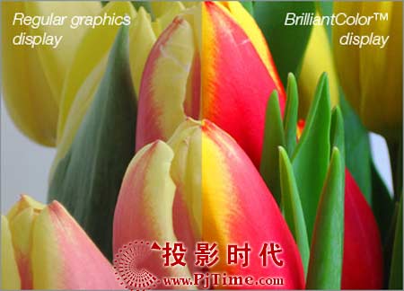 極致色彩技術(shù)與沒(méi)有極致色彩的顯示畫面比較