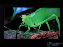 T(bio)S-IPS!32LE70Duy 