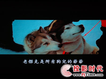 c(din)ŴWDa1080pͶӰC(j)HD803 DVDЧ