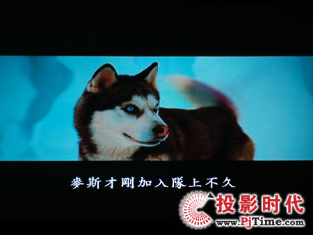 c(din)ŴWDa1080pͶӰC(j)HD803 DVDЧ