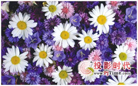 投影屏幕精品推薦_JK鈦金電幕HD1080