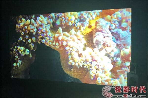 NEC 350004KpɫӳCث@BIRTV2017Ψһa(chn)Ʒ