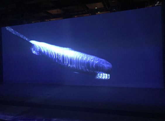 明基激光工程投影機“深海之光沉浸式藝術(shù)展”賞析