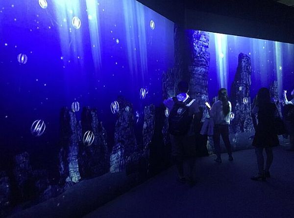 明基激光工程投影機“深海之光沉浸式藝術(shù)展”賞析