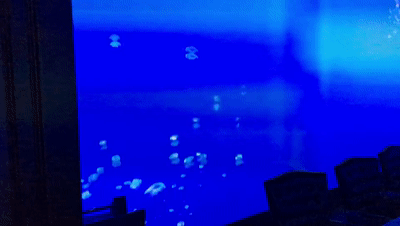 在這種地方吃飯我要讓整個朋友圈都知道