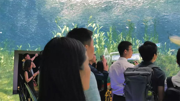 艾比森碧桂園潼湖小鎮(zhèn)CAVE影院案例