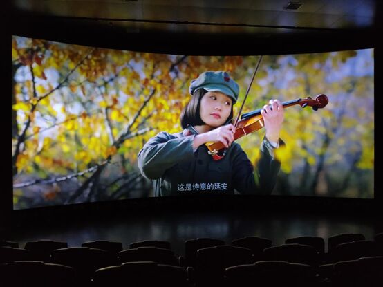 ӰÌ(xi)桪ӛ2019ͶӰ15Ӱ尸