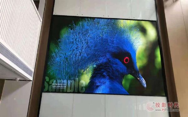 VATION��������ĳ�˲ń�(chu��ng)�·���(w��)������Ϣ�����O(sh��)