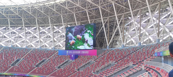 全國(guó)矚目！洲明全方位助力十四屆全運(yùn)會(huì)盛大舉行