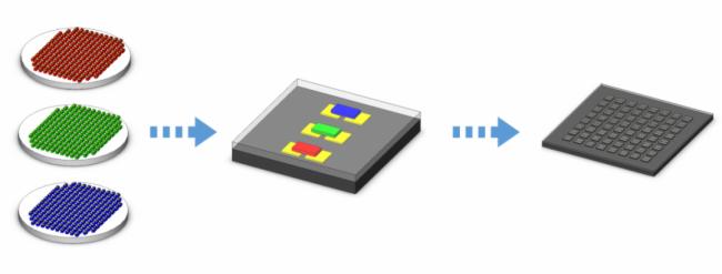 Micro LEDM | ǹMIPI@ʾِ