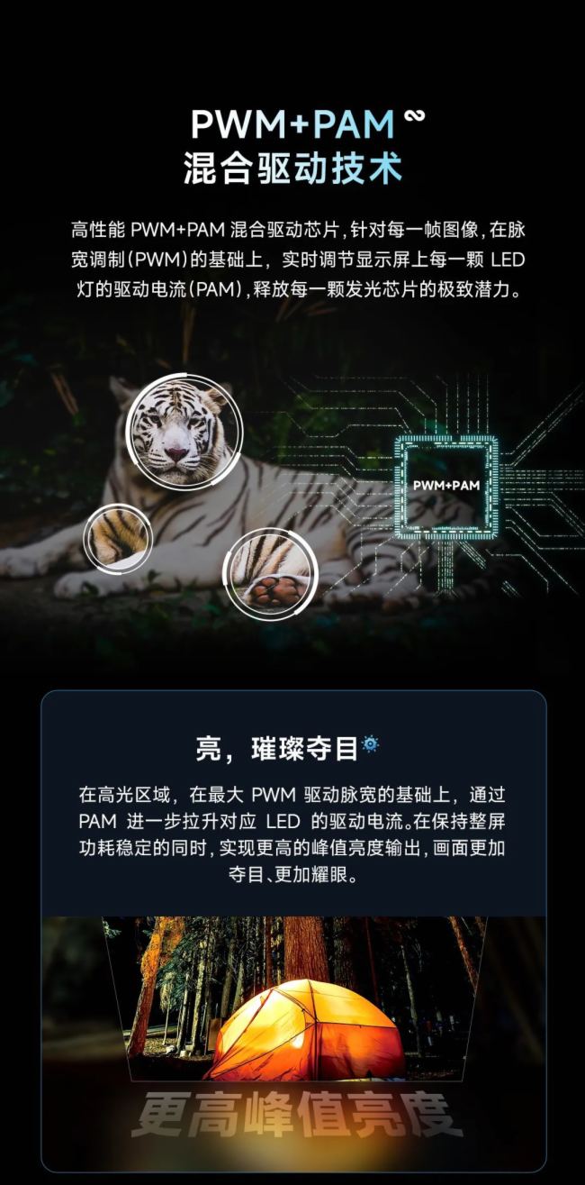 無極Infinity閃耀IFC2025，諾瓦星云重新定義極致視覺之美
