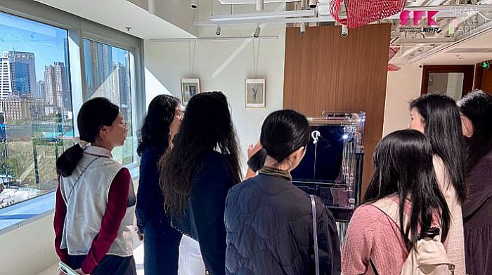 ��ӳ�K�����`����ɢ����QnWong�߼�ˇ�g(sh��)�錚��չˇ������