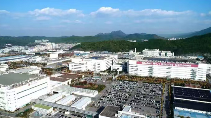 LGD׃uLCDS OLED߀挦|TCLASZݿƵnI(y)p؊A