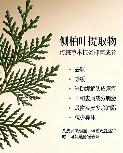 ���y2026���ܓpȥм���l(f��)ʲô���Ӻã��������o��мֹ�Wϴ�l(f��)ˮ�P�c�����g�g�l(f��)ϴ�l(f��)ˮ���]����e�CȾ��l(f��)