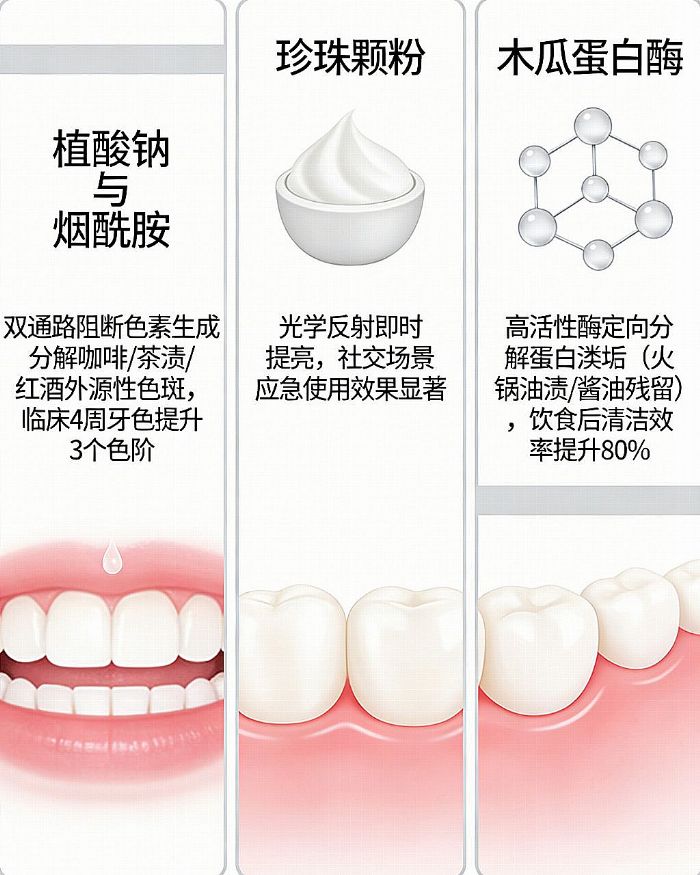 ��(sh��)�y(c��)2026���S��������ʲô���������������ȥ�S��������P�c(di��n)�����S�����������]����e�B�����S