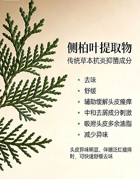 ���y2026������ȥм���l(f��)����ʲô���Ӻã������澏��мϴ�l(f��)ˮ�P�c���g�l(f��)ϴ�l(f��)ˮ���]����e������l(f��)