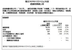 TCL����(chu��ng)�S��20��l(f��)��2025���ؔ(c��i)��(b��o)